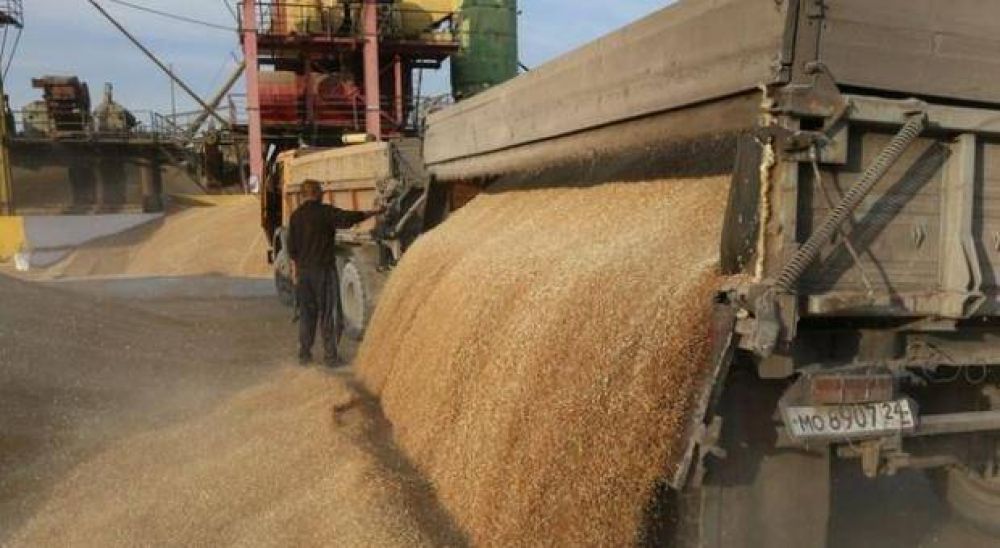 La exportacin de trigo en Baha Blanca creci un 130% durante los primeros seis meses del ao