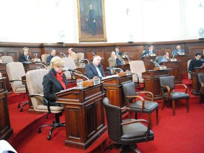 Concejo: La Plata adhiri� a las leyes provinciales de emergencia