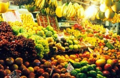 Producci�n org�nica: un nuevo desaf�o para los productores