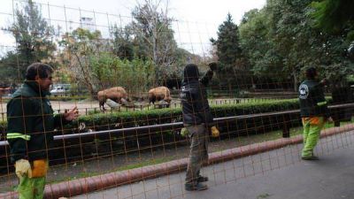El ex Zool�gico porte�o reabre con mejoras y menos animales en exhibici�n