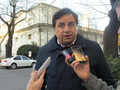 Iriart, sobre la denuncia de Carri�: �Si es una mentira m�s, deber� aclararlo en la Legislatura�