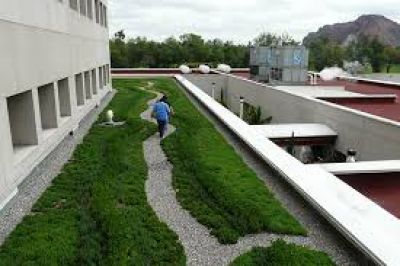 Espacios verdes: �empezar por el techo?