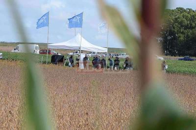 Primeras tendencias de la campa�a de granos gruesos