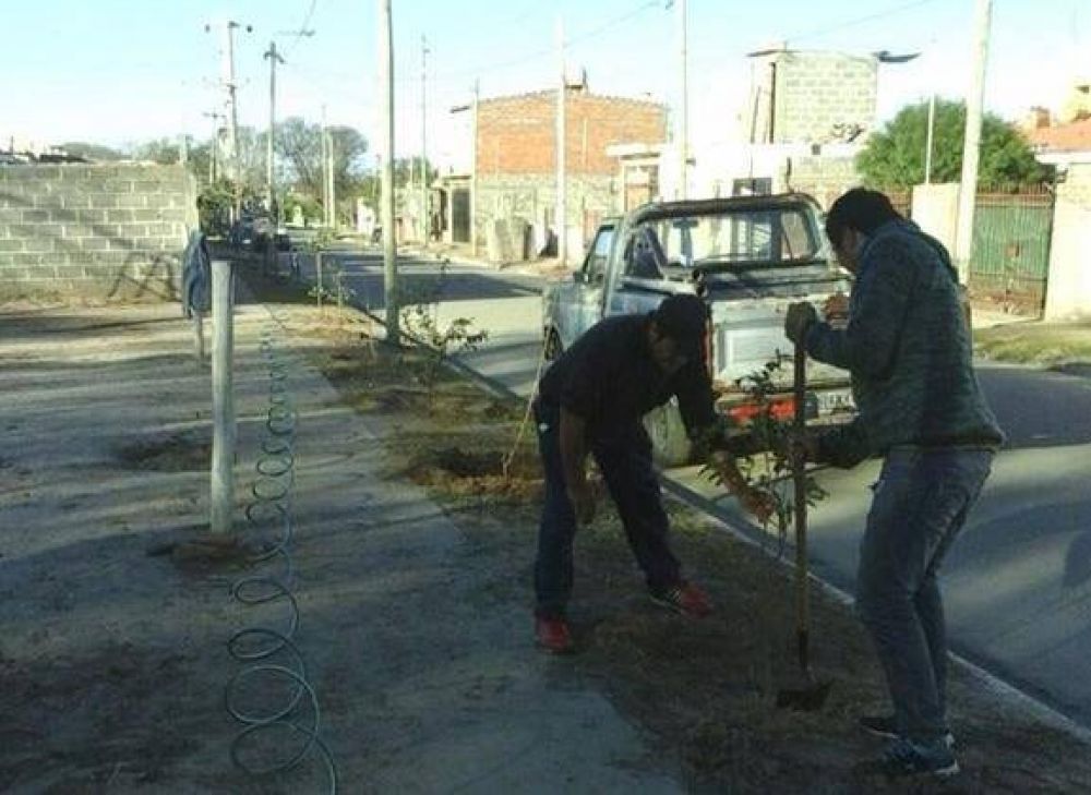 Recuperan espacios verdes