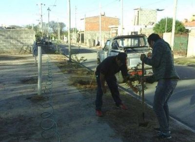 Recuperan espacios verdes