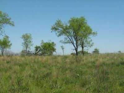 Misiones mantiene el reclamo para recuperar la reserva San Juan