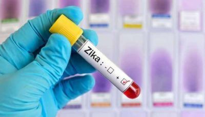 Zika: las mujeres tambi�n pueden ser transmisoras por v�a sexual
