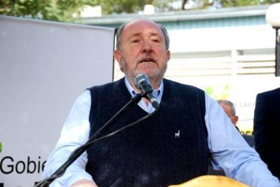 Verna, sobrevolando la corrupci�n y el tarifazo