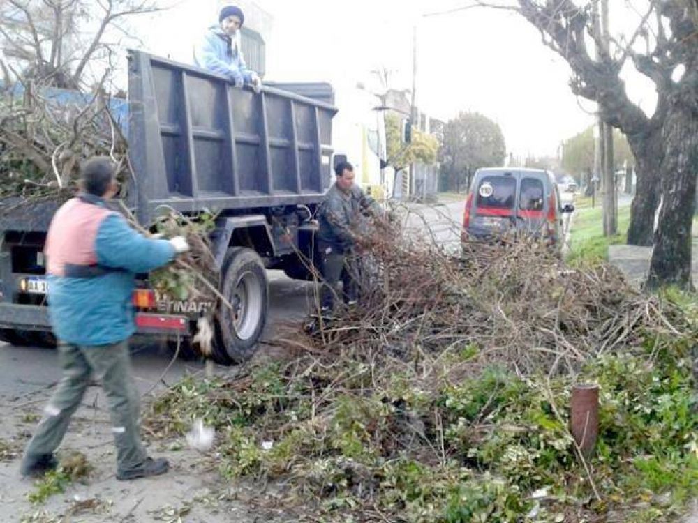 La Municipalidad recolect� ramas en la zona oeste