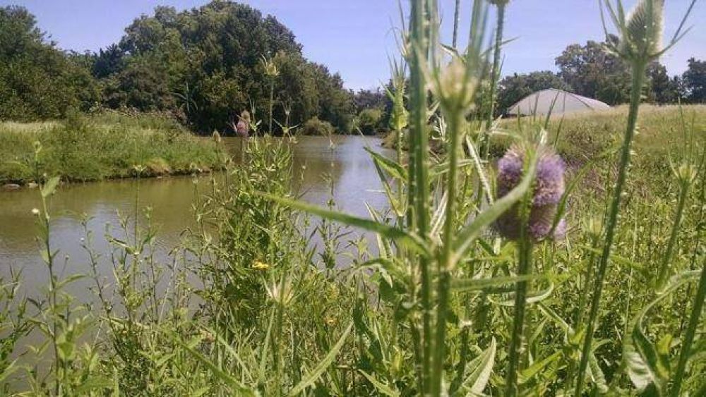 Quieren recuperar una laguna y convertirla en una reserva ecol�gica
