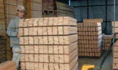 Apertura de importaciones y baja en la construcci�n, principales factores para la crisis maderera