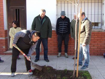 Se puso en marcha la campa�a De ra�z