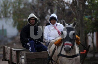 Residuos: los panaderos prev�n recurrir a excarreros para el retiro