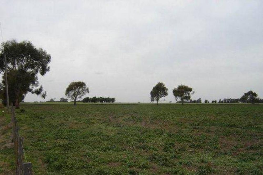 Falseaban ventas de campos desde oficinas p�blicas