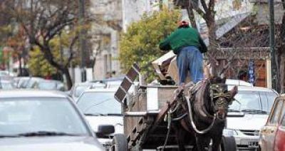 Piden ayuda a la Naci�n para erradicar a los �carreros�