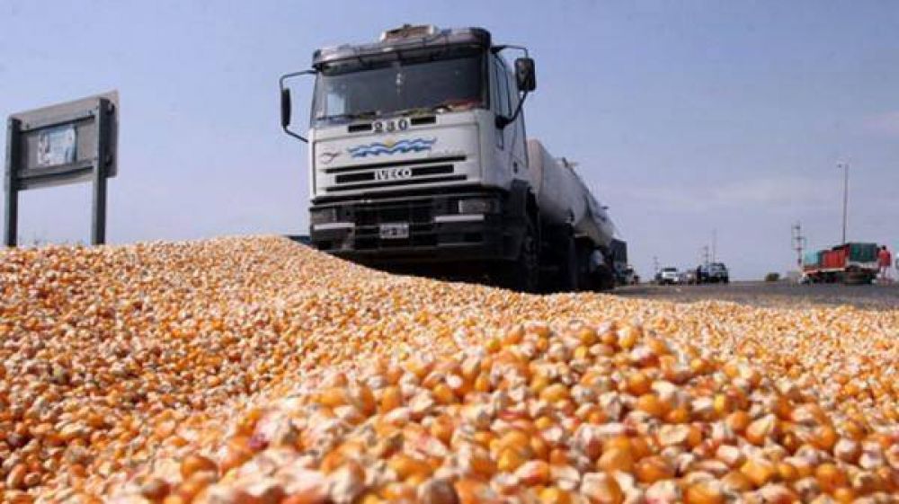 Los acopiadores de cereales aseguran que sigue la Argentina del apriete