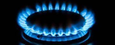 Importaban gas con un sobreprecio mayor a 30%
