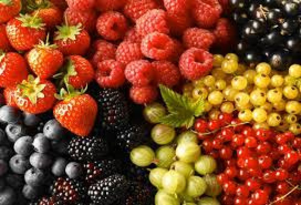 Fruta fina: alerta en El Hoyo por la apertura de las importaciones