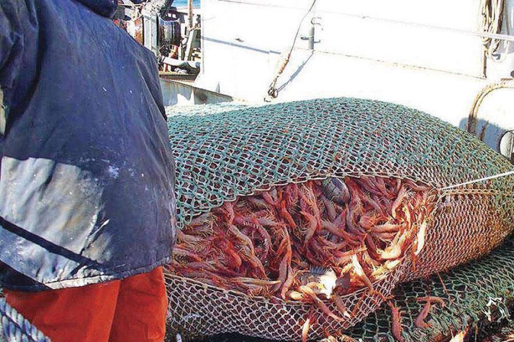 La pesca en Comodoro Rivadavia creci 30% en comparacin a igual perodo del ao pasado
