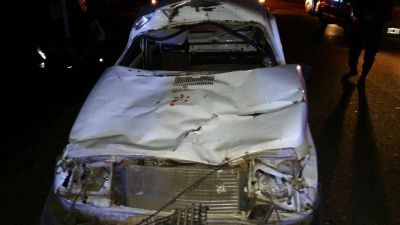 Un caballo se cruz� en el camino y chocaron con su auto: una madre y su hija internadas