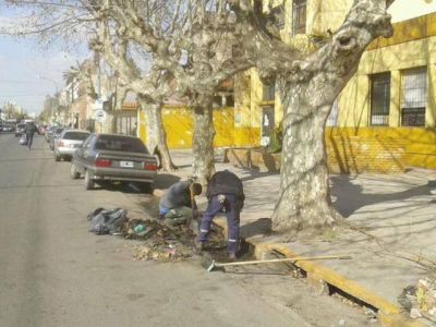 Limpieza para Bernal