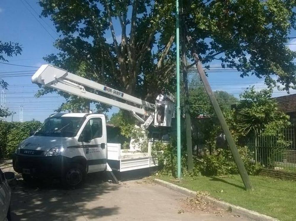 En Lomas, la poda se puede pedir hasta agosto