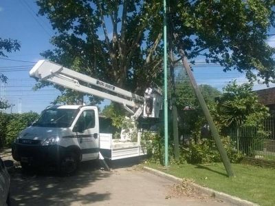En Lomas, la poda se puede pedir hasta agosto