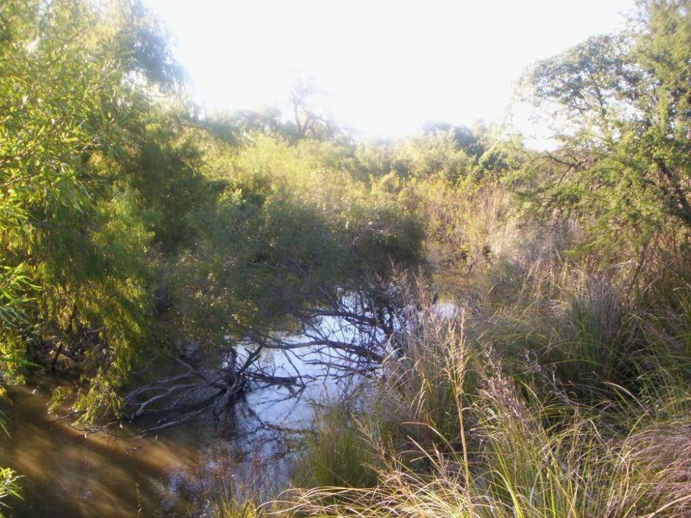 Durante agosto licitar�n la limpieza del arroyo Barrancas