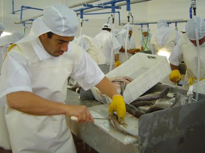 AVANZA LA INSTALACI�N DE UNA PLANTA PROCESADORA DE PESCADO EN LA C�RCEL DE BAT�N