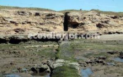 El sistema cloacal a�n est� lejos de alcanzar el l�mite