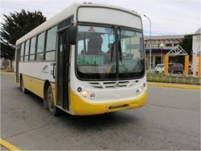 R�o Grande lanz� nuevo llamado a licitaci�n para el servicio de colectivos