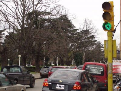 Invertir�n 100 mil pesos en recuperar y modernizar con luz LED la red de sem�foros