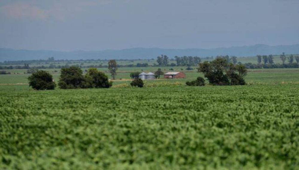 La Provincia niega demoras y no pagar� el complejo ambiental