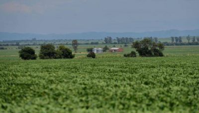 La Provincia niega demoras y no pagar� el complejo ambiental