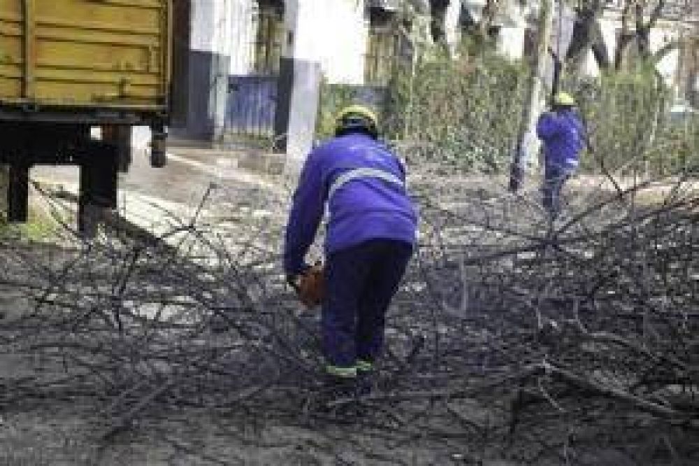 Buscan responder los reclamos por ramas en los barrios