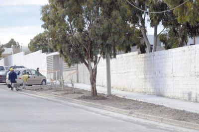 Avanzan los trabajos de limpieza y mantenimiento en distintos puntos de la ciudad
