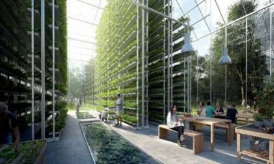 Reciclaje de basura y energ�a limpia: C�mo ser� la ecoaldea que construyen en Holanda