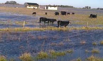 En los pr�ximos d�as se distribuir�n fondos de Naci�n a productores en emergencia por las inundaciones de 2015 