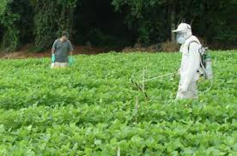 Contra los agroqu�micos