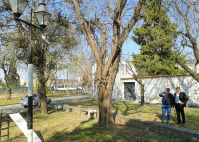  La Municipalidad y LuSal trabajan en la iluminaci�n de plazas de la ciudad