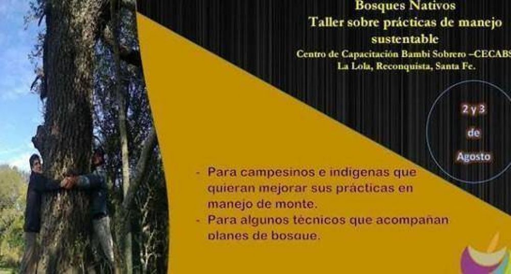 Bosques nativos: Prcticas de manejo sustentable
