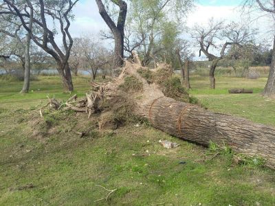 Reclaman por el estado de abandono del Parque del Sur