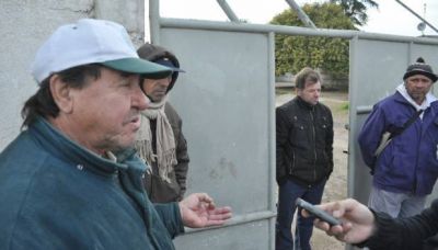 Angustiante panorama para los trabajadores del frigor�fico San Nicol�s