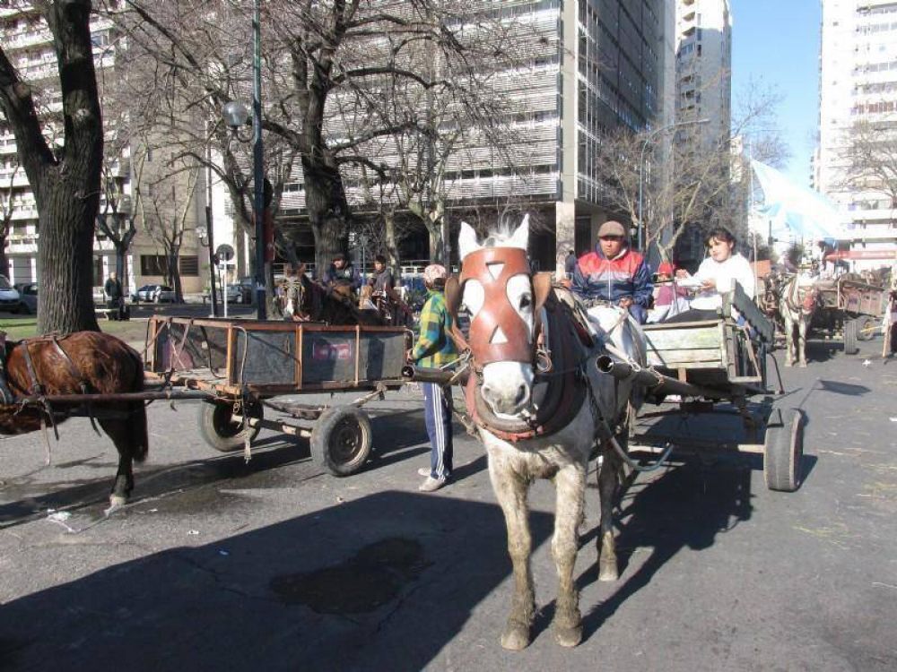 Cartoneros protestaron frente a la municipalidad: �Nos miran como un n�mero y no como personas�