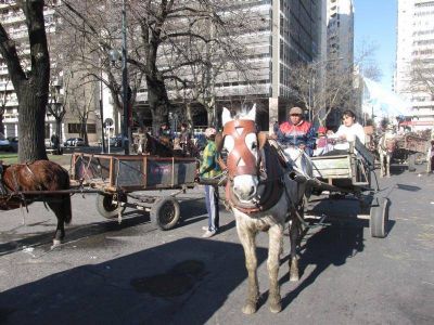 Cartoneros protestaron frente a la municipalidad: �Nos miran como un n�mero y no como personas�