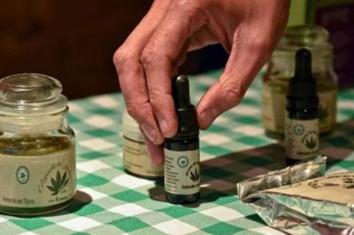 Farmac�uticos: Quieren vender la marihuana medicinal