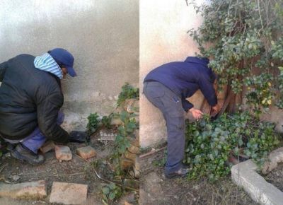 San Luis realiza una campa�a de desratizaci�n en el microcentro