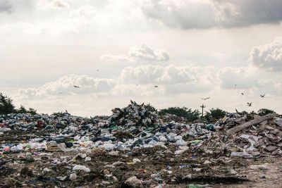 Buscan regularizar a recolectores informales