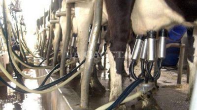 Desde Tucum�n, productores lecheros SOLICITARAN ACCIONES al Gobierno 
