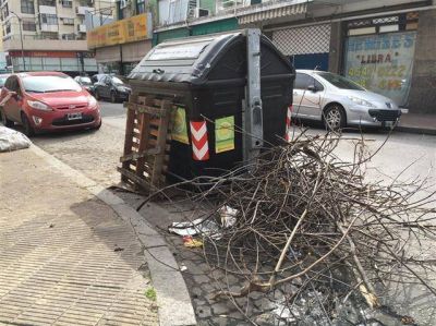 Basura acumulada: no se puede vaciar el 10% de los contenedores